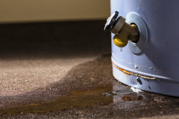 Best Water damage restoration near me  in Shenandoah, IA