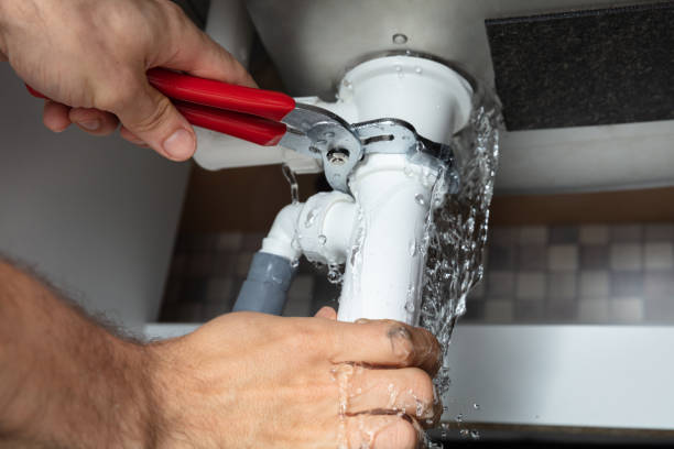 Best Water damage mitigation services  in Shenandoah, IA