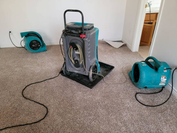  Shenandoah, IA Water damage restoration Pros