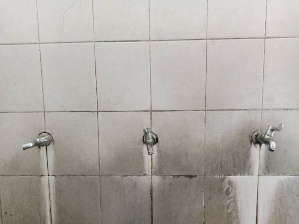 Best Professional water damage repair  in Shenandoah, IA