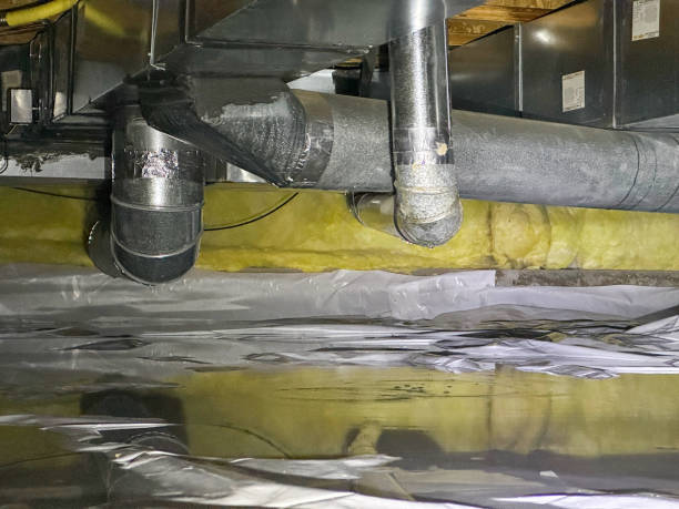 Best Residential water damage restoration  in Shenandoah, IA