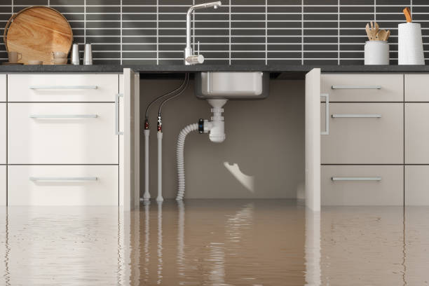 Best Flood restoration services  in Shenandoah, IA