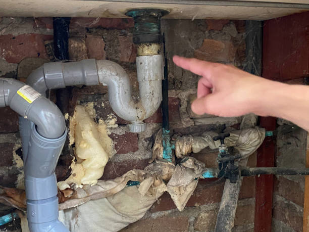 Best Ceiling water damage repair  in Shenandoah, IA