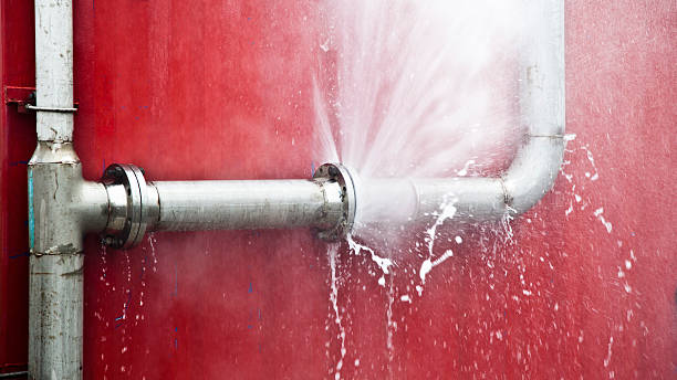 Best Water damage restoration near me  in Shenandoah, IA
